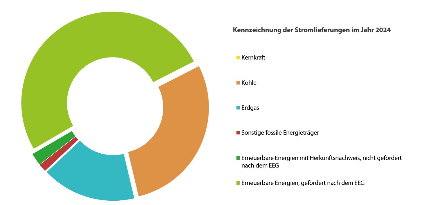 Stromkennzeichnung2024